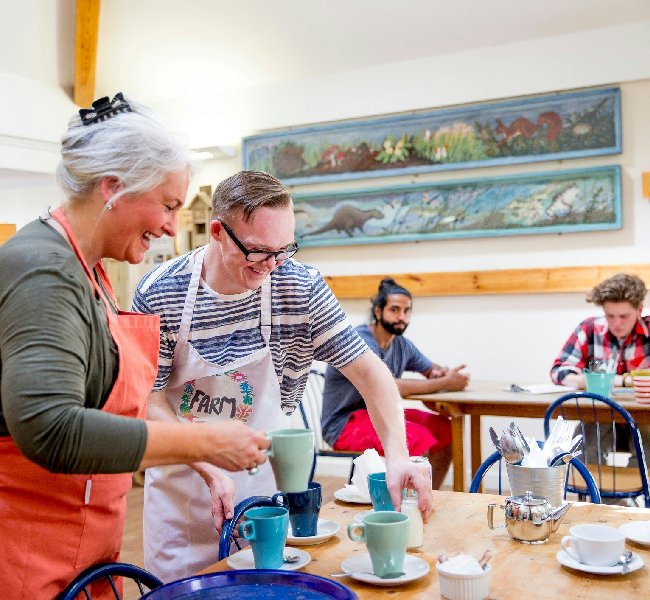 Independent Living Support